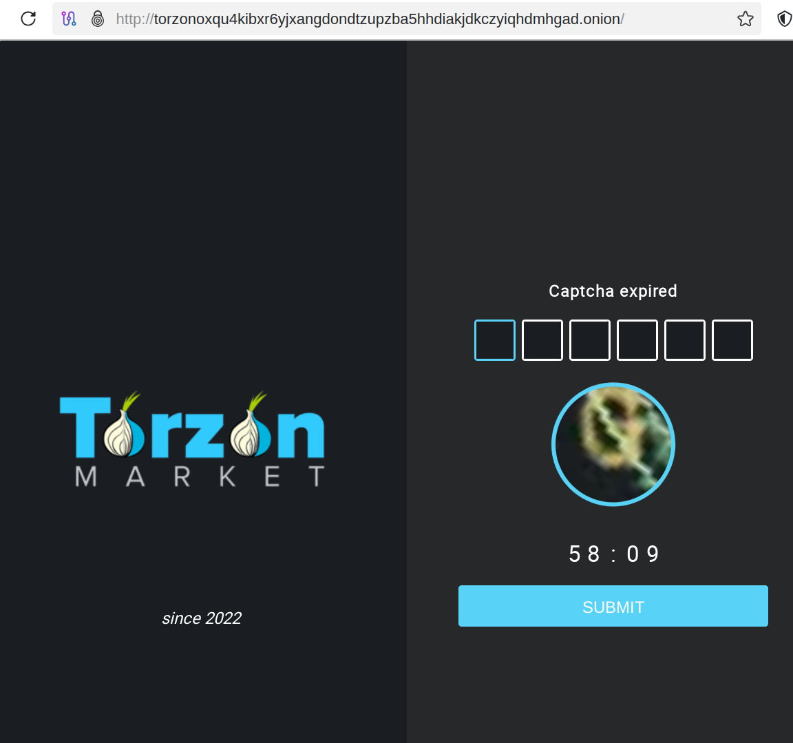 TorZon Market captcha verification screen